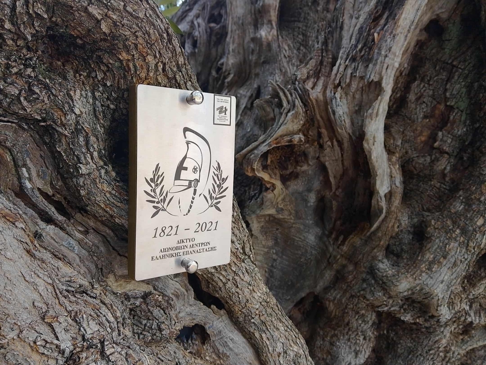 Ά&rho;&iota;&sigma;&tau;&omicron; &lambda;ά&delta;&iota; &pi;&alpha;&rho;&alpha;&gamma;&omega;&gamma;ή&sigmaf; &Alpha;&pi;&iota;&delta;έ&alpha;&sigmaf; &mu;&epsilon; &laquo;&rho;ί&zeta;&epsilon;&sigmaf;&raquo; 2.000 &epsilon;&tau;ώ&nu;