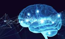 Η νευροβιολογία των συναισθημάτων στο sparta.komvos