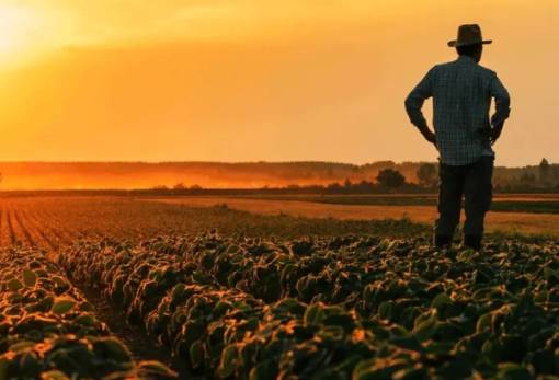 Στον «πάγο» το ΟΣΔΕ 2026