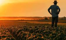 &Sigma;&tau;&omicron;&nu; &laquo;&pi;ά&gamma;&omicron;&raquo; &tau;&omicron; &Omicron;&Sigma;&Delta;&Epsilon; 2026