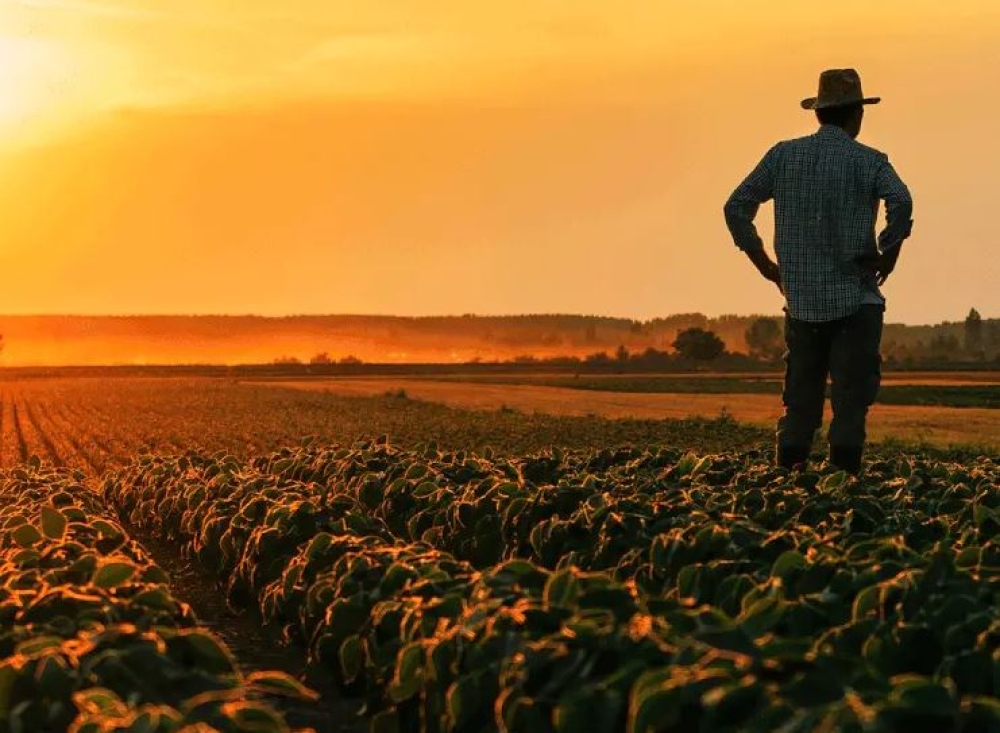 &Sigma;&tau;&omicron;&nu; &laquo;&pi;ά&gamma;&omicron;&raquo; &tau;&omicron; &Omicron;&Sigma;&Delta;&Epsilon; 2026