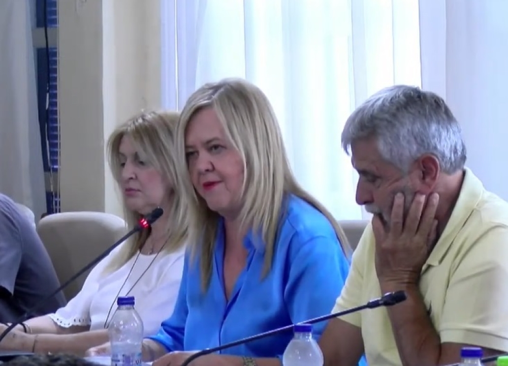 &Pi;&alpha;&rho;ά&tau;&alpha;&xi;&eta; &Tau;&zeta;&alpha;&nu;&epsilon;&tau;έ&alpha; &gamma;&iota;&alpha; &alpha;&pi;&omicron;&chi;ή &alpha;&pi;ό &lambda;&omicron;&gamma;&omicron;&delta;&omicron;&sigma;ί&alpha;: &laquo;&Delta;&iota;&alpha;&delta;&iota;&kappa;&alpha;&sigma;&tau;&iota;&kappa;έ&sigmaf; &sigma;&upsilon;&nu;&epsilon;&delta;&rho;&iota;ά&sigma;&epsilon;&iota;&sigmaf;-&pi;&alpha;&rho;&omega;&delta;ί&alpha;&raquo;