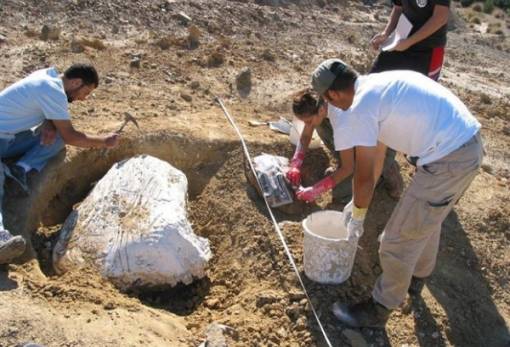 45 θέσεις εργασίας στην Εφορεία Αρχαιοτήτων Λακωνίας