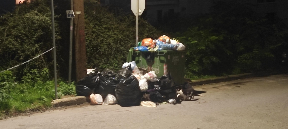 Οι κάδοι «ξεχείλισαν» -Στα πρόθυρα έκτακτης ανάγκης η Σπάρτη