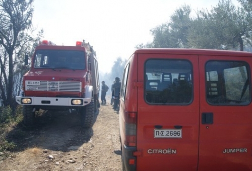 Καθοριστική η συμβολή της ΕΟΔ στη φωτιά των Κροκεών