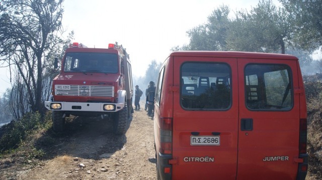 &Kappa;&alpha;&theta;&omicron;&rho;&iota;&sigma;&tau;&iota;&kappa;ή &eta; &sigma;&upsilon;&mu;&beta;&omicron;&lambda;ή &tau;&eta;&sigmaf; &Epsilon;&Omicron;&Delta; &sigma;&tau;&eta; &phi;&omega;&tau;&iota;ά &tau;&omega;&nu; &Kappa;&rho;&omicron;&kappa;&epsilon;ώ&nu;