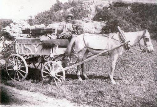 Ο θυμωμένος αγωγιάτης ή Το πουλί της αλήθειας