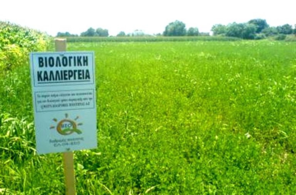 &Kappa;&alpha;&tau;&alpha;&lambda;&omicron;&gamma;ί&sigma;&tau;&eta;&kappa;&alpha;&nu; &tau;&alpha; &pi;&rho;ώ&tau;&alpha; &pi;&rho;ό&sigma;&tau;&iota;&mu;&alpha; 56.000 &epsilon;&upsilon;&rho;ώ &sigma;&epsilon; &phi;&omicron;&rho;&epsilon;ί&sigmaf; &pi;&iota;&sigma;&tau;&omicron;&pi;&omicron;ί&eta;&sigma;&eta;&sigmaf; &beta;&iota;&omicron;&lambda;&omicron;&gamma;&iota;&kappa;ώ&nu; &pi;&rho;&omicron;ϊό&nu;&tau;&omega;&nu;