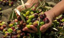 &Upsilon;&pi;&Alpha;&Alpha;&Tau;: &Alpha;&pi;ό 1 &Omicron;&kappa;&tau;&omega;&beta;&rho;ί&omicron;&upsilon; &eta; &delta;ή&lambda;&omega;&sigma;&eta; &sigma;&upsilon;&gamma;&kappa;&omicron;&mu;&iota;&delta;ή&sigmaf; &epsilon;&lambda;&alpha;&iota;&omicron;&kappa;ά&rho;&pi;&omicron;&upsilon;