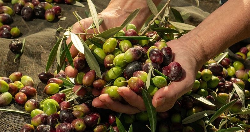 &Upsilon;&pi;&Alpha;&Alpha;&Tau;: &Alpha;&pi;ό 1 &Omicron;&kappa;&tau;&omega;&beta;&rho;ί&omicron;&upsilon; &eta; &delta;ή&lambda;&omega;&sigma;&eta; &sigma;&upsilon;&gamma;&kappa;&omicron;&mu;&iota;&delta;ή&sigmaf; &epsilon;&lambda;&alpha;&iota;&omicron;&kappa;ά&rho;&pi;&omicron;&upsilon;