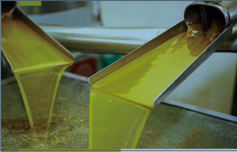 Δύσκολη εξίσωση με αστάθμητους παράγοντες για τα ελαιοτριβεία