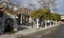 &Pi;&alpha;&rho;&alpha;&delta;&omicron;&sigma;&iota;&alpha;&kappa;ό &lambda;&alpha;ϊ&kappa;ό &pi;&alpha;&nu;&eta;&gamma;ύ&rho;&iota; &sigma;&tau;&eta;&nu; &pi;&lambda;&alpha;&tau;&epsilon;ί&alpha; &Xi;&eta;&rho;&omicron;&kappa;&alpha;&mu;&pi;ί&omicron;&upsilon;