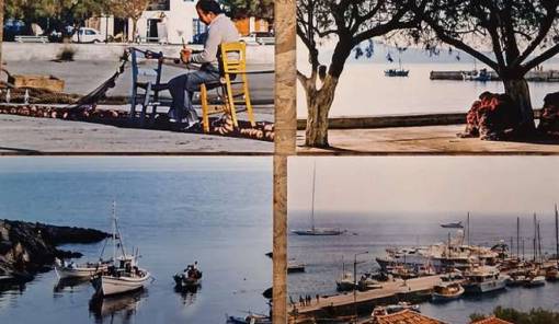 &Tau;&alpha; &Beta;ά&tau;&iota;&kappa;&alpha; &tau;&omicron;&upsilon; &chi;&theta;&epsilon;&sigmaf; &mu;έ&sigma;&alpha; &alpha;&pi;ό &tau;&omicron;&nu; &phi;&alpha;&kappa;ό &tau;&omicron;&upsilon; &Nu;ί&kappa;&omicron;&upsilon; &Sigma;&tau;&alpha;&theta;ά&kappa;&eta;