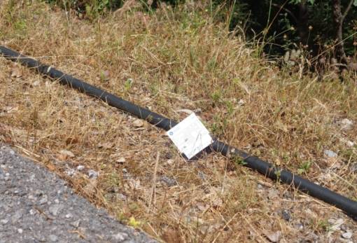 Τα Παλάτια άνοιξαν, η παιδεία… ακόμη υπό αναστήλωση