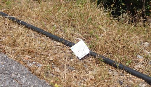 &Tau;&alpha; &Pi;&alpha;&lambda;ά&tau;&iota;&alpha; ά&nu;&omicron;&iota;&xi;&alpha;&nu;, &eta; &pi;&alpha;&iota;&delta;&epsilon;ί&alpha;&hellip; &alpha;&kappa;ό&mu;&eta; &upsilon;&pi;ό &alpha;&nu;&alpha;&sigma;&tau;ή&lambda;&omega;&sigma;&eta;