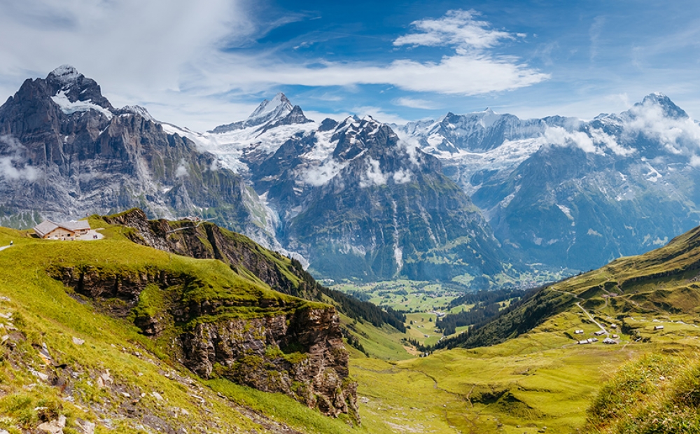 &Omicron;&iota; &lambda;&epsilon;&upsilon;&kappa;έ&sigmaf; Ά&lambda;&pi;&epsilon;&iota;&sigmaf; &pi;&rho;&alpha;&sigma;&iota;&nu;ί&zeta;&omicron;&upsilon;&nu; &lambda;ό&gamma;&omega; &tau;&eta;&sigmaf; &kappa;&lambda;&iota;&mu;&alpha;&tau;&iota;&kappa;ή&sigmaf; &alpha;&lambda;&lambda;&alpha;&gamma;ή&sigmaf;