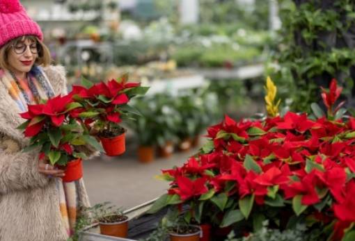 Χριστούγεννα 2025 - Έρευνα: Ποιοι και πόσα θα δαπανήσουν για αγορές