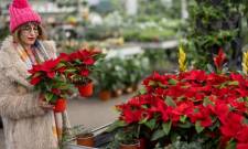 Χριστούγεννα 2025 - Έρευνα: Ποιοι και πόσα θα δαπανήσουν για αγορές