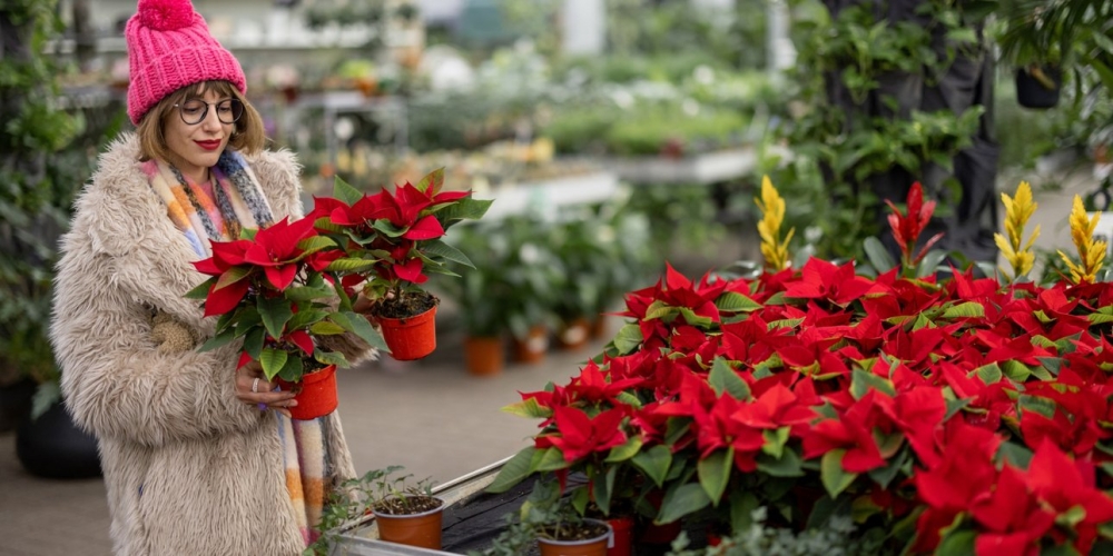 Χριστούγεννα 2025 - Έρευνα: Ποιοι και πόσα θα δαπανήσουν για αγορές