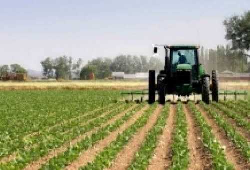 260 εκατ. ευρώ για σχέδια βελτίωσης γεωργικών εκμεταλλεύσεων