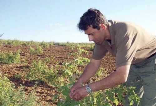 Πριμ 240 εκ. ευρώ για 16.000 νέους αγρότες