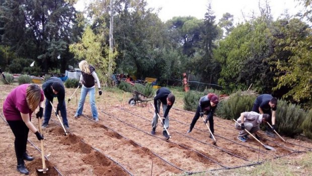 &Xi;&epsilon;&kappa;&iota;&nu;&omicron;ύ&nu; &omicron;&iota; &epsilon;&gamma;&gamma;&rho;&alpha;&phi;έ&sigmaf; &sigma;&tau;&alpha; &alpha;&gamma;&rho;&omicron;&tau;&iota;&kappa;ά &Iota;&Epsilon;&Kappa; &tau;&omicron;&upsilon; &Epsilon;&Lambda;&Gamma;&Omicron;-&Delta;ή&mu;&eta;&tau;&rho;&alpha;