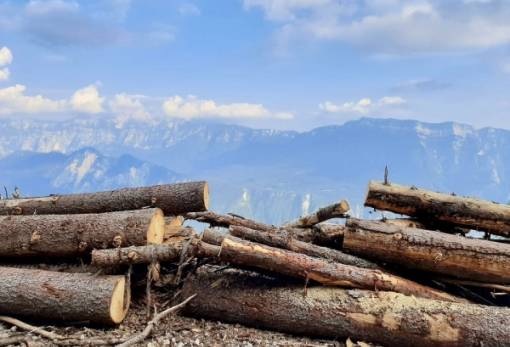 Ίση με «μια Ελβετία» είναι η έκταση  των τροπικών δασών που αποψιλώθηκαν το 2022