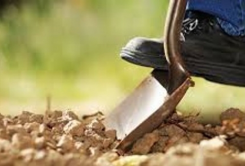 Πρόγραμμα 194 εκ. ευρώ για 11.116 Νέους Αγρότες