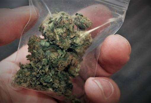 Κάνναβη η αιτία τριών συλλήψεων στον Δήμο Σπάρτης