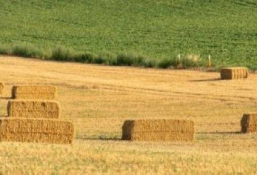 Από τις 10 έως τις 22 Ιουνίου θα είναι διαθέσιμη η εφαρμογή υποβολής αίτησης για de minimis ενισχύσεις μηδικής