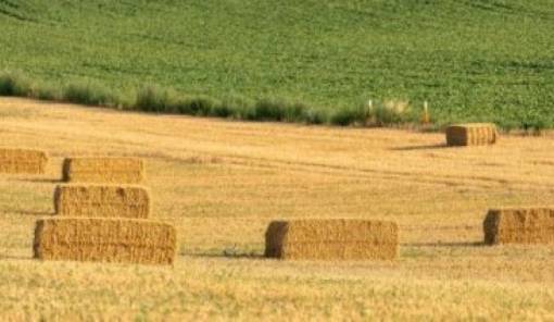 &Alpha;&pi;ό &tau;&iota;&sigmaf; 10 έ&omega;&sigmaf; &tau;&iota;&sigmaf; 22 &Iota;&omicron;&upsilon;&nu;ί&omicron;&upsilon; &theta;&alpha; &epsilon;ί&nu;&alpha;&iota; &delta;&iota;&alpha;&theta;έ&sigma;&iota;&mu;&eta; &eta; &epsilon;&phi;&alpha;&rho;&mu;&omicron;&gamma;ή &upsilon;&pi;&omicron;&beta;&omicron;&lambda;ή&sigmaf; &alpha;ί&tau;&eta;&sigma;&eta;&sigmaf; &gamma;&iota;&alpha; de minimis &epsilon;&nu;&iota;&sigma;&chi;ύ&sigma;&epsilon;&iota;&sigmaf; &mu;&eta;&delta;&iota;&kappa;ή&sigmaf;