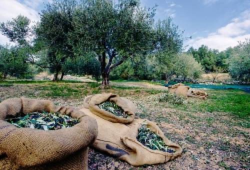 Το χωράφι δεν είναι πια «ανέμελο»