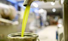 &Eta; &nu;ό&tau;&iota;&alpha; &Lambda;&alpha;&kappa;&omega;&nu;ί&alpha; &laquo;&sigma;&pi;ά&epsilon;&iota;&raquo; &tau;&eta;&nu; &upsilon;&pi;&omicron;&tau;&omicron;&nu;&iota;&kappa;ό&tau;&eta;&tau;&alpha; &sigma;&tau;&omicron; &epsilon;&lambda;&alpha;&iota;ό&lambda;&alpha;&delta;&omicron;