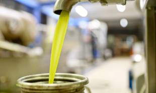 &Eta; &nu;ό&tau;&iota;&alpha; &Lambda;&alpha;&kappa;&omega;&nu;ί&alpha; &laquo;&sigma;&pi;ά&epsilon;&iota;&raquo; &tau;&eta;&nu; &upsilon;&pi;&omicron;&tau;&omicron;&nu;&iota;&kappa;ό&tau;&eta;&tau;&alpha; &sigma;&tau;&omicron; &epsilon;&lambda;&alpha;&iota;ό&lambda;&alpha;&delta;&omicron;