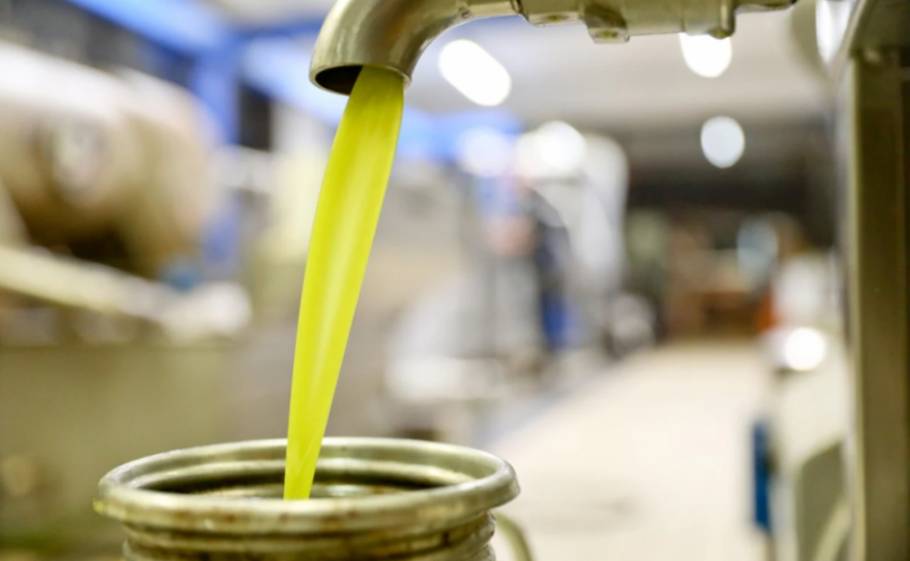 &Eta; &nu;ό&tau;&iota;&alpha; &Lambda;&alpha;&kappa;&omega;&nu;ί&alpha; &laquo;&sigma;&pi;ά&epsilon;&iota;&raquo; &tau;&eta;&nu; &upsilon;&pi;&omicron;&tau;&omicron;&nu;&iota;&kappa;ό&tau;&eta;&tau;&alpha; &sigma;&tau;&omicron; &epsilon;&lambda;&alpha;&iota;ό&lambda;&alpha;&delta;&omicron;