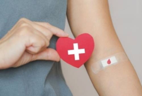 Κάλεσμα από τον σύλλογο «Ο Πλήθων» σε εθελοντική αιμοδοσία