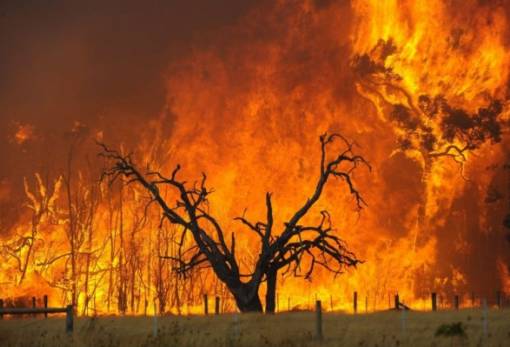 Οι πυρκαγιές επηρέασαν το κλίμα περισσότερο από ό,τι η πανδημία