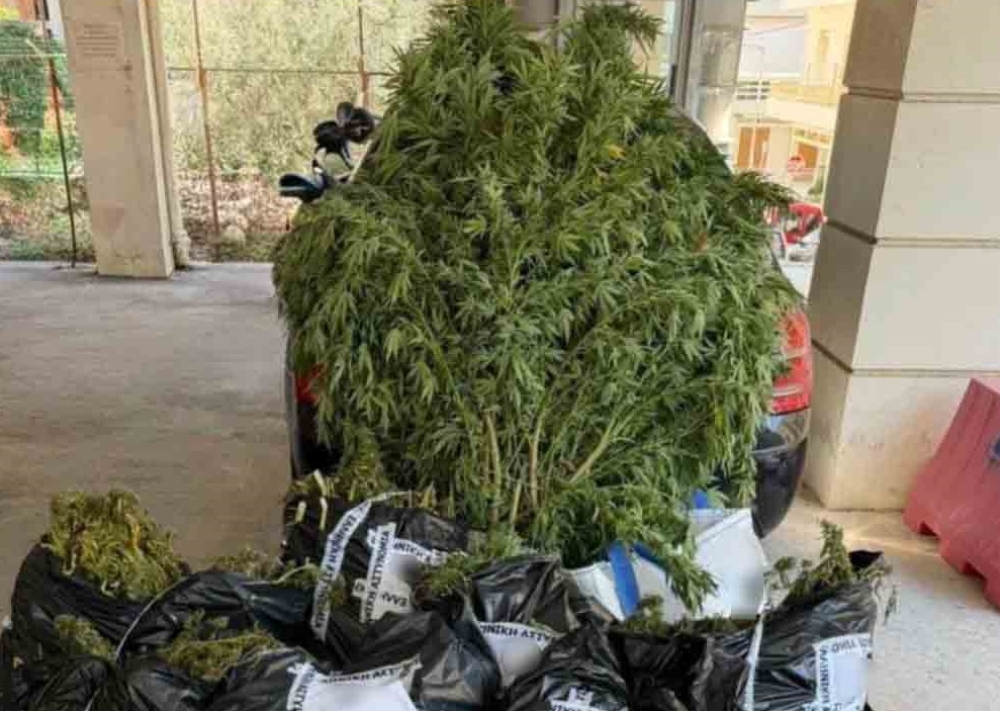 &laquo;&Phi;ά&mu;&pi;&rho;&iota;&kappa;&alpha;&raquo; &chi;&alpha;&sigma;ί&sigmaf; &mu;&epsilon; &mu;&pi;ί&zeta;&nu;&alpha; 160.000 &epsilon;&upsilon;&rho;ώ &sigma;&tau;&eta; &Mu;ά&nu;&eta;