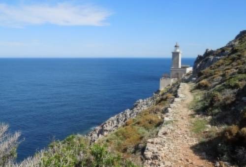 Ο Κάβο Μαλέας στο δίκτυο των Σημαντικών Περιοχών για τα Πουλιά