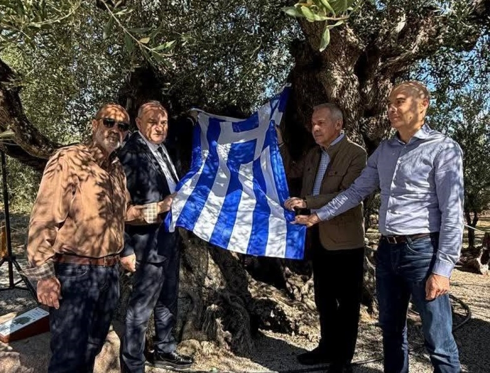 &Sigma;&eta;&mu;&alpha;&tau;&omicron;&delta;&omicron;&tau;ή&theta;&eta;&kappa;&epsilon; &eta; &alpha;&iota;&omega;&nu;&iota;ό&tau;&eta;&tau;&alpha; &tau;&eta;&sigmaf; &Epsilon;&lambda;&iota;ά&sigmaf; &tau;&omicron;&upsilon; '21 &sigma;&tau;&eta;&nu; &Alpha;&pi;&iota;&delta;έ&alpha;