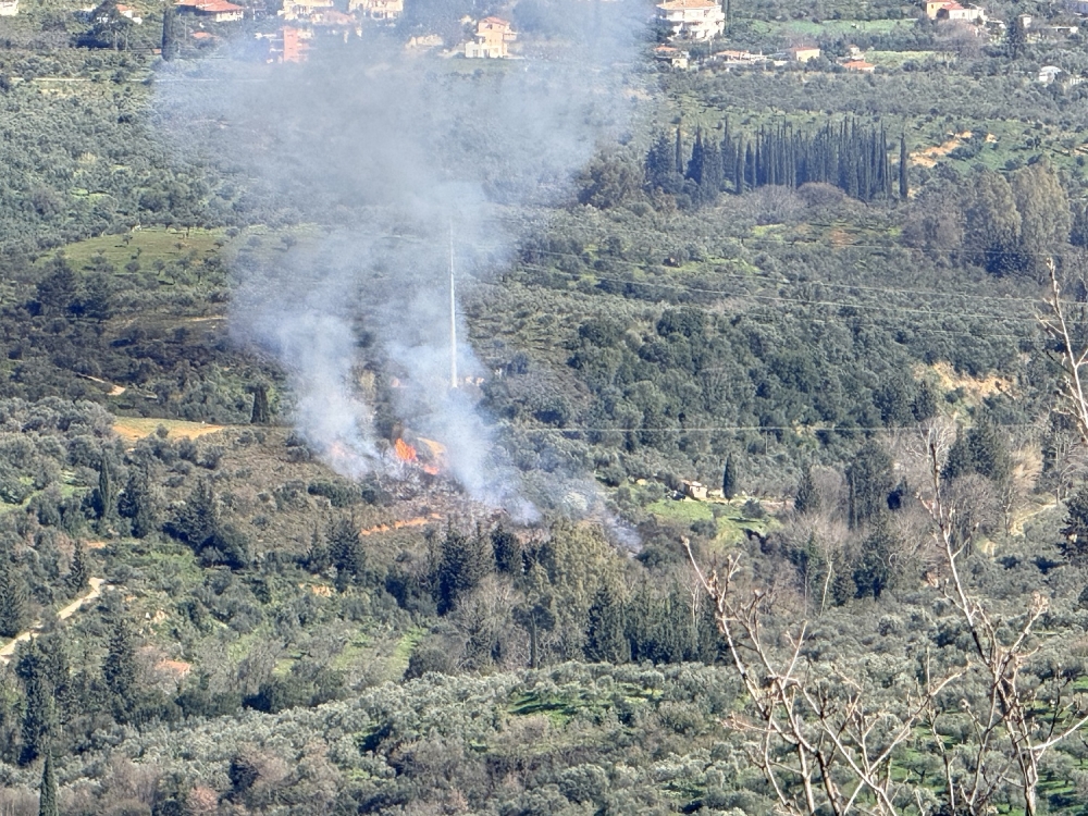 &Xi;έ&phi;&upsilon;&gamma;&epsilon; &phi;&omega;&tau;&iota;ά &gamma;&iota;&alpha; &kappa;&alpha;ύ&sigma;&eta; &kappa;&lambda;&alpha;&delta;&iota;ώ&nu; &sigma;&tau;&omicron; &Pi;&alpha;&lambda;&alpha;&iota;&omicron;&lambda;ό&gamma;&iota;&omicron;