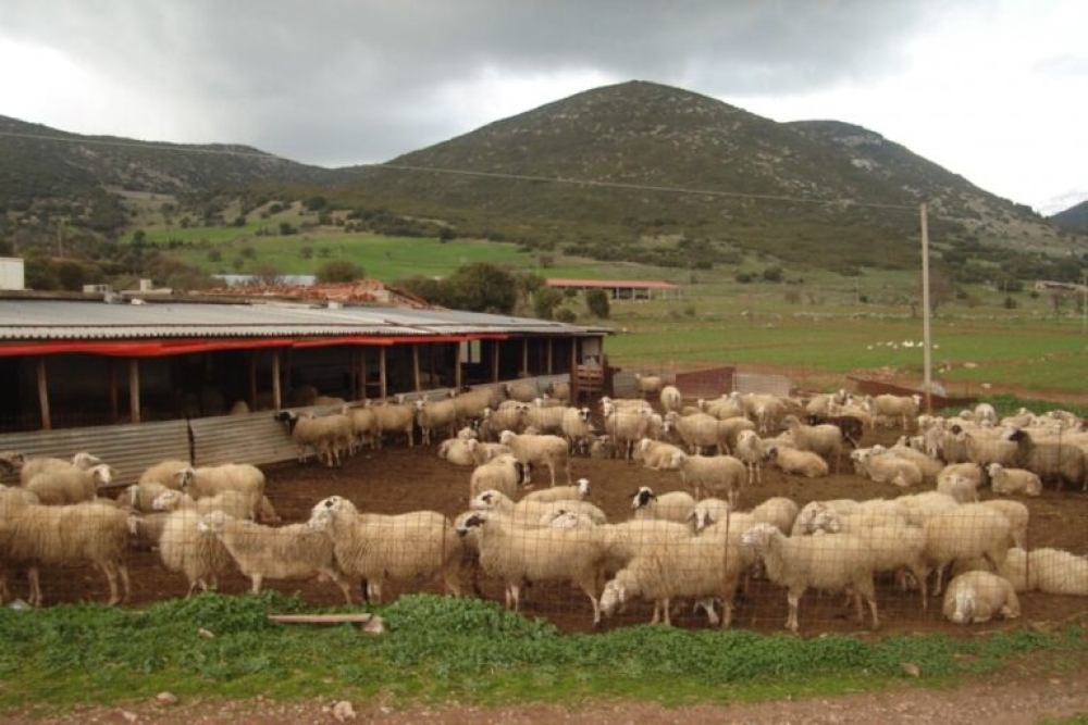 &Pi;&alpha;&rho;ά&tau;&alpha;&sigma;&eta; έ&omega;&sigmaf; &tau;&omicron; 2027 &gamma;&iota;&alpha; &kappa;&tau;&eta;&nu;&omicron;&tau;&rho;&omicron;&phi;&iota;&kappa;έ&sigmaf; &epsilon;&gamma;&kappa;&alpha;&tau;&alpha;&sigma;&tau;ά&sigma;&epsilon;&iota;&sigmaf; &sigma;&epsilon; &delta;&alpha;&sigma;&iota;&kappa;έ&sigmaf; &epsilon;&kappa;&tau;ά&sigma;&epsilon;&iota;&sigmaf;