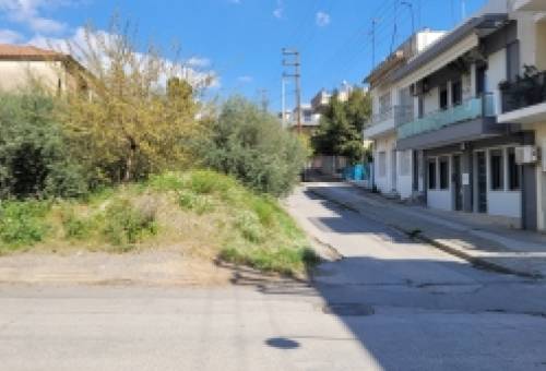 Διάνοιξη στενού Θερμοπυλών με το… στανιό και «σκιές»