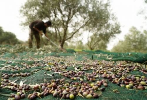 Προς λύση στο αδιέξοδο με τους εργάτες γης