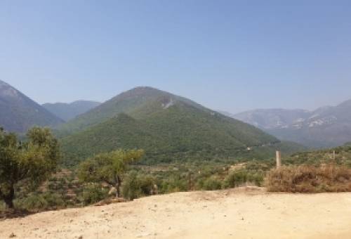 Στην περιοχή της Δεσφίνας οι πυροσβεστικές δυνάμεις