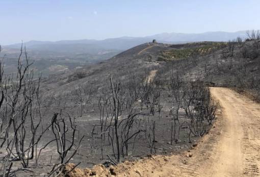 Κάηκαν 3.000 στρέμματα γης στο Λυκοβουνό