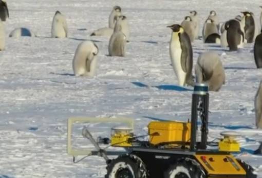 Γιατί ένα ρομπότ ζει με μία αποικία πιγκουίνων στην Ανταρκτική;