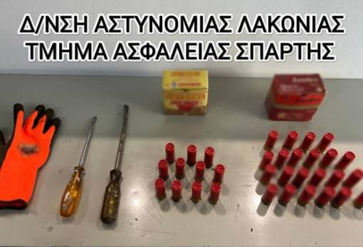 Εκτός από κοσμήματα και χρήματα «απαλλοτρίωσαν» μέχρι και… κότες