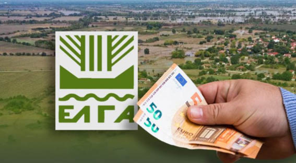 38 &epsilon;&kappa;&alpha;&tau;. &epsilon;&upsilon;&rho;ώ &gamma;&iota;&alpha; &zeta;&eta;&mu;&iota;έ&sigmaf; &tau;&omicron;&upsilon; 2024 &eta; &epsilon;&pi;ό&mu;&epsilon;&nu;&eta; &pi;&alpha;&rho;&tau;ί&delta;&alpha; &pi;&lambda;&eta;&rho;&omega;&mu;ώ&nu; &Epsilon;&Lambda;&Gamma;&Alpha;