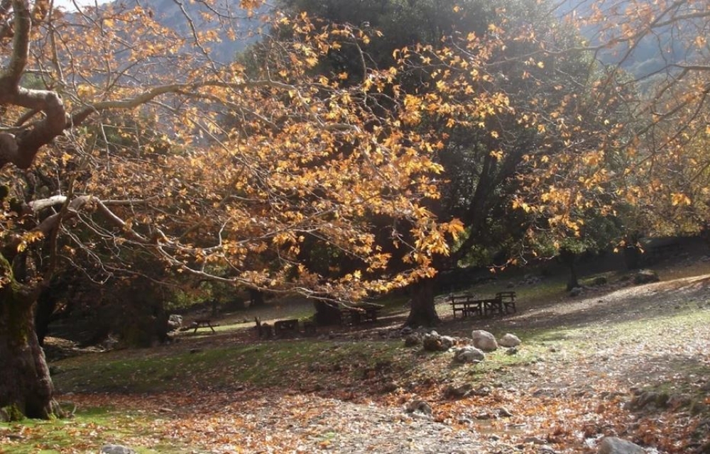 &Pi;&epsilon;&rho;&iota;&omicron;&chi;έ&sigmaf; Natura: &Omicron;&iota; 5 ό&rho;&omicron;&iota; &gamma;&iota;&alpha; &epsilon;&pi;έ&kappa;&tau;&alpha;&sigma;&eta; &sigma;&chi;&epsilon;&delta;ί&omega;&nu; &pi;ό&lambda;&eta;&sigmaf;